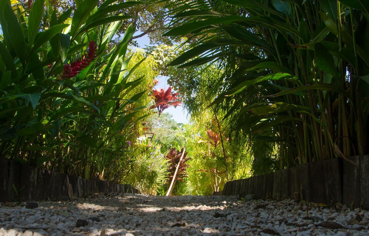 Glamping Hotel Flor Y Bambu Playa Grande Dış mekan fotoğraf